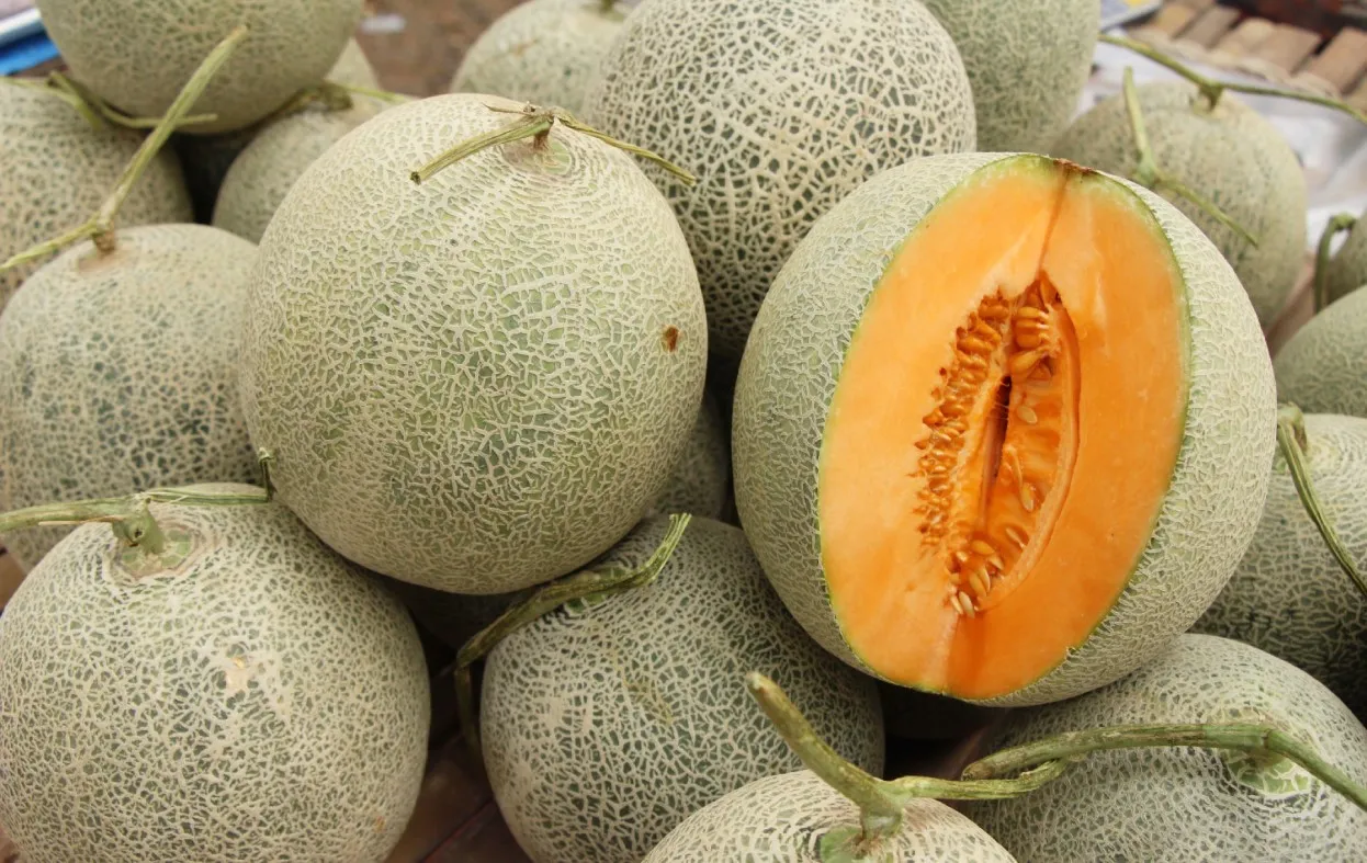 Stacked fresh cantaloupes