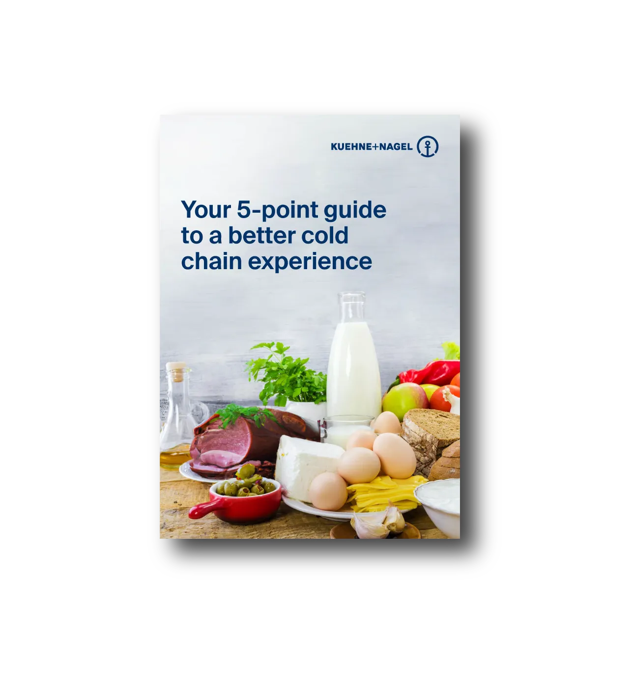 Your 5 point guide to a better cold chain experience