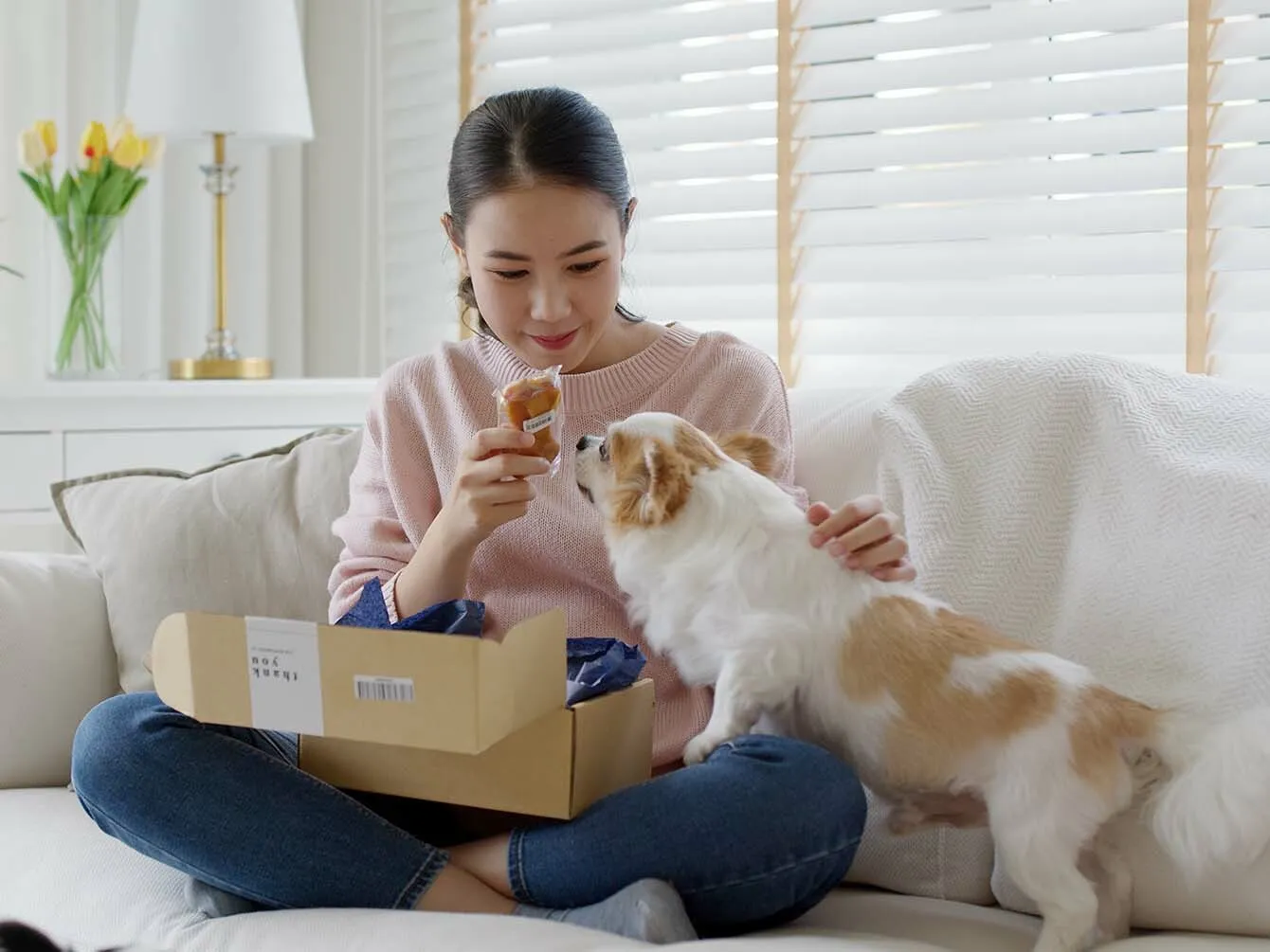 Peaceful moment between a woman and her dog at home, while she is unpacking a delivery with sweets