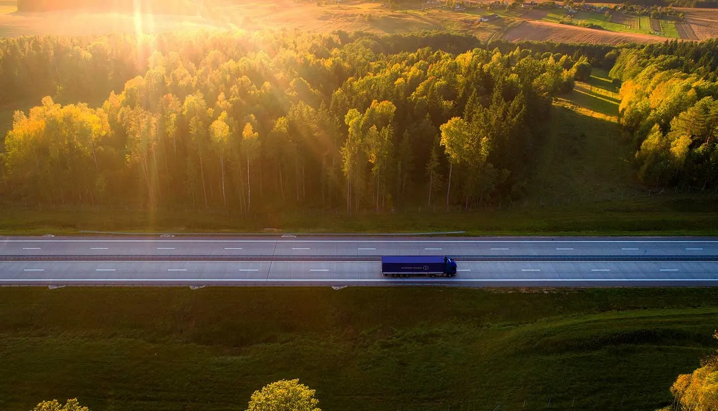 Truck on the road in the middle of the forest