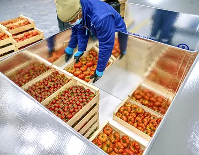 Giữ thực phẩm tươi ngon với các giải pháp logistics chuyên dụng cho thực  phẩm dễ hư hỏng. | Kuehne+Nagel Việt Nam