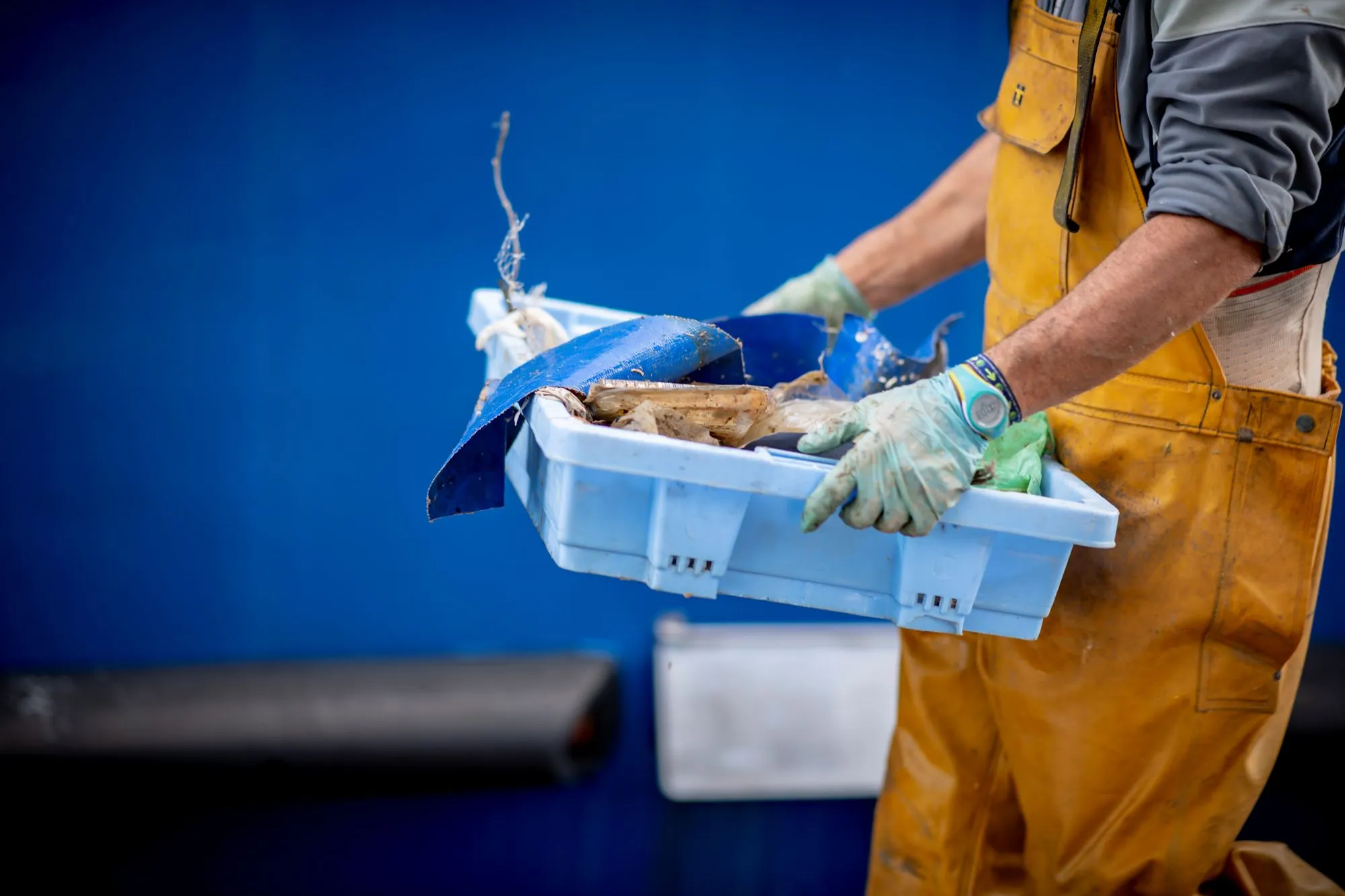 A person carrying waste in a box.