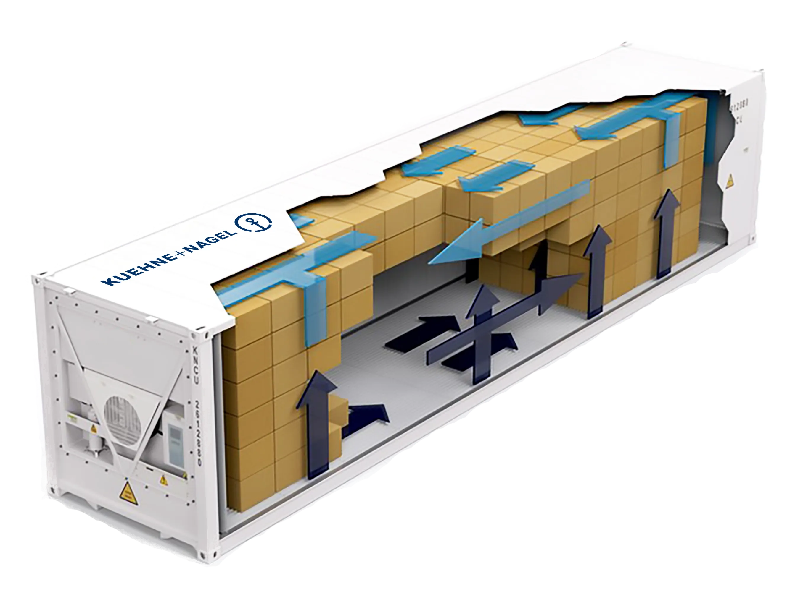 Inside the KN container, white and reefer container