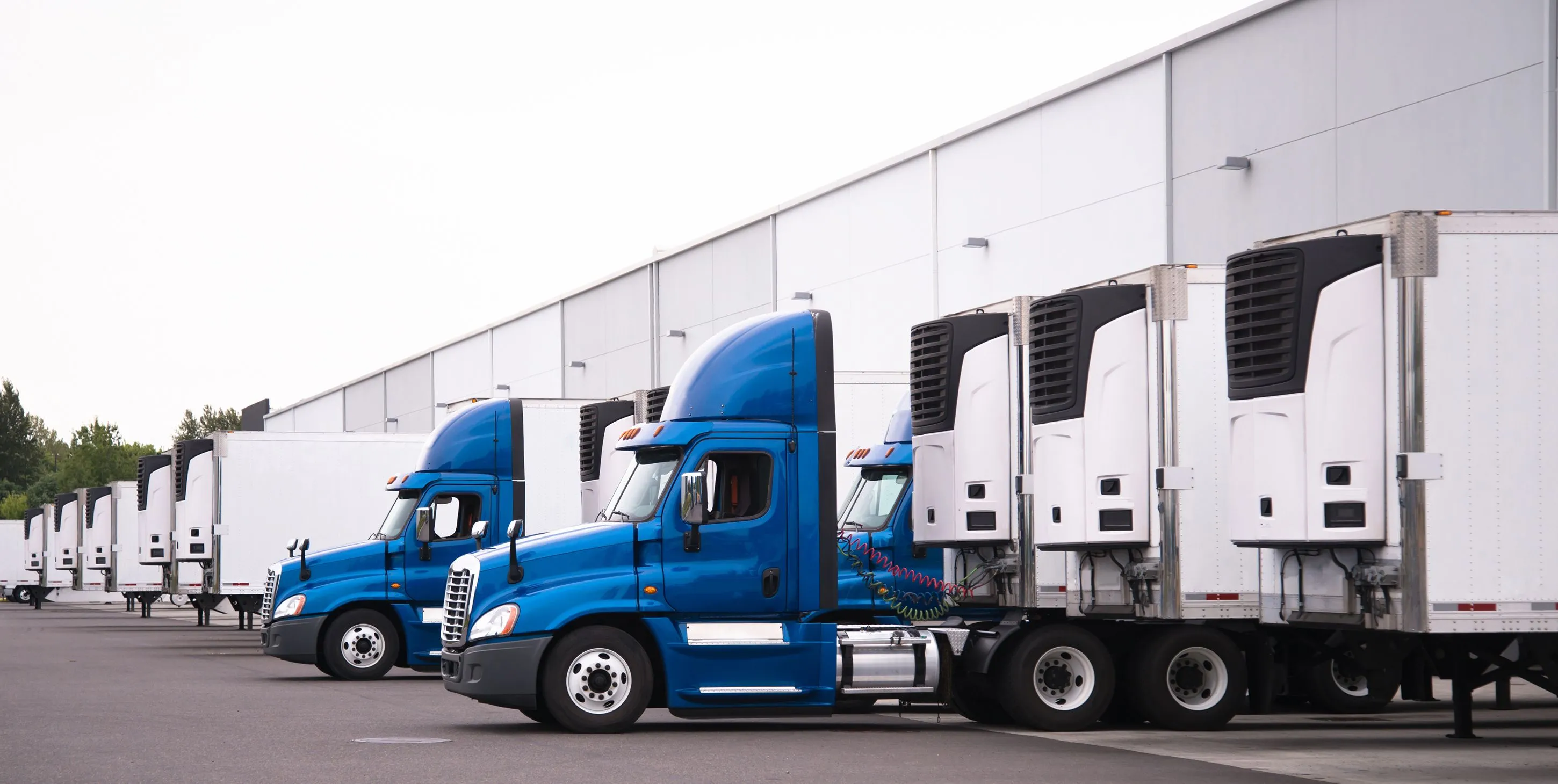 Blue semi trucks and semi trailers stand in row