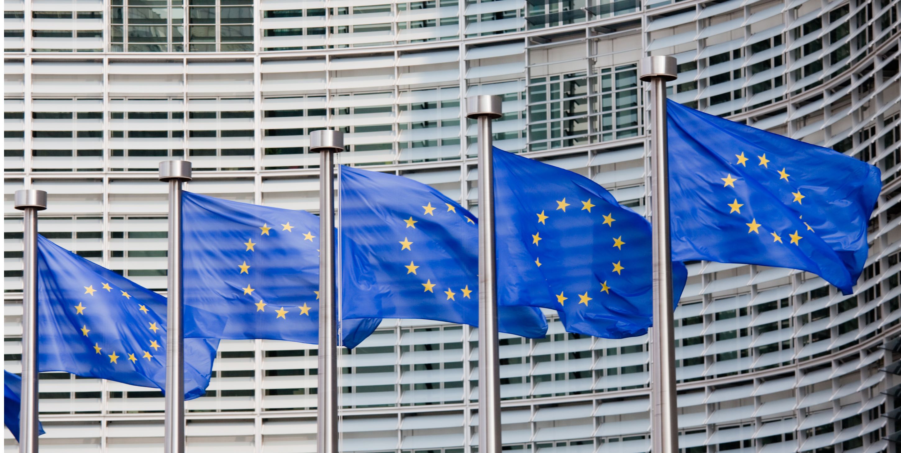 Flags of the European Union