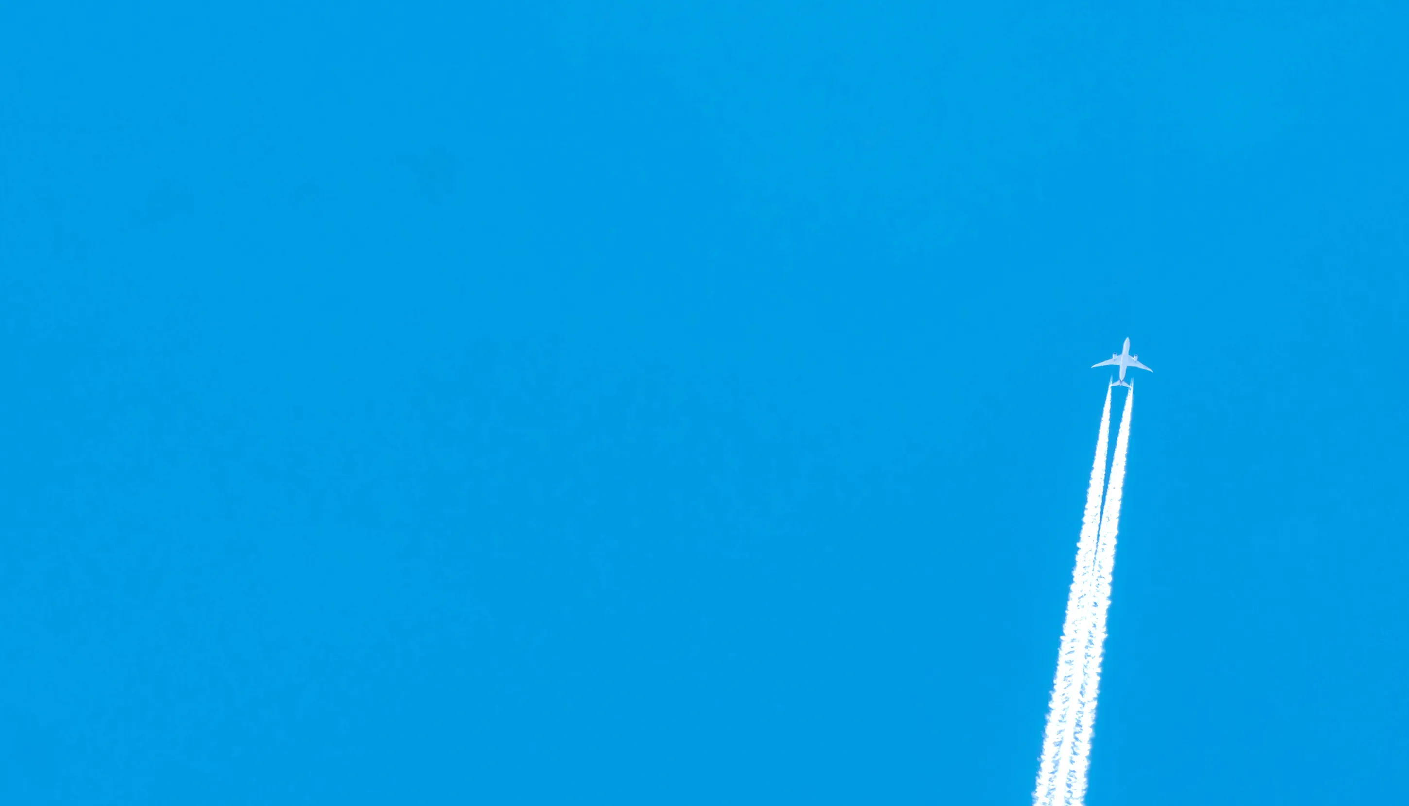 关于Kuehne+Nagel海运及空运服务的详细条款，您需要了解的一切。