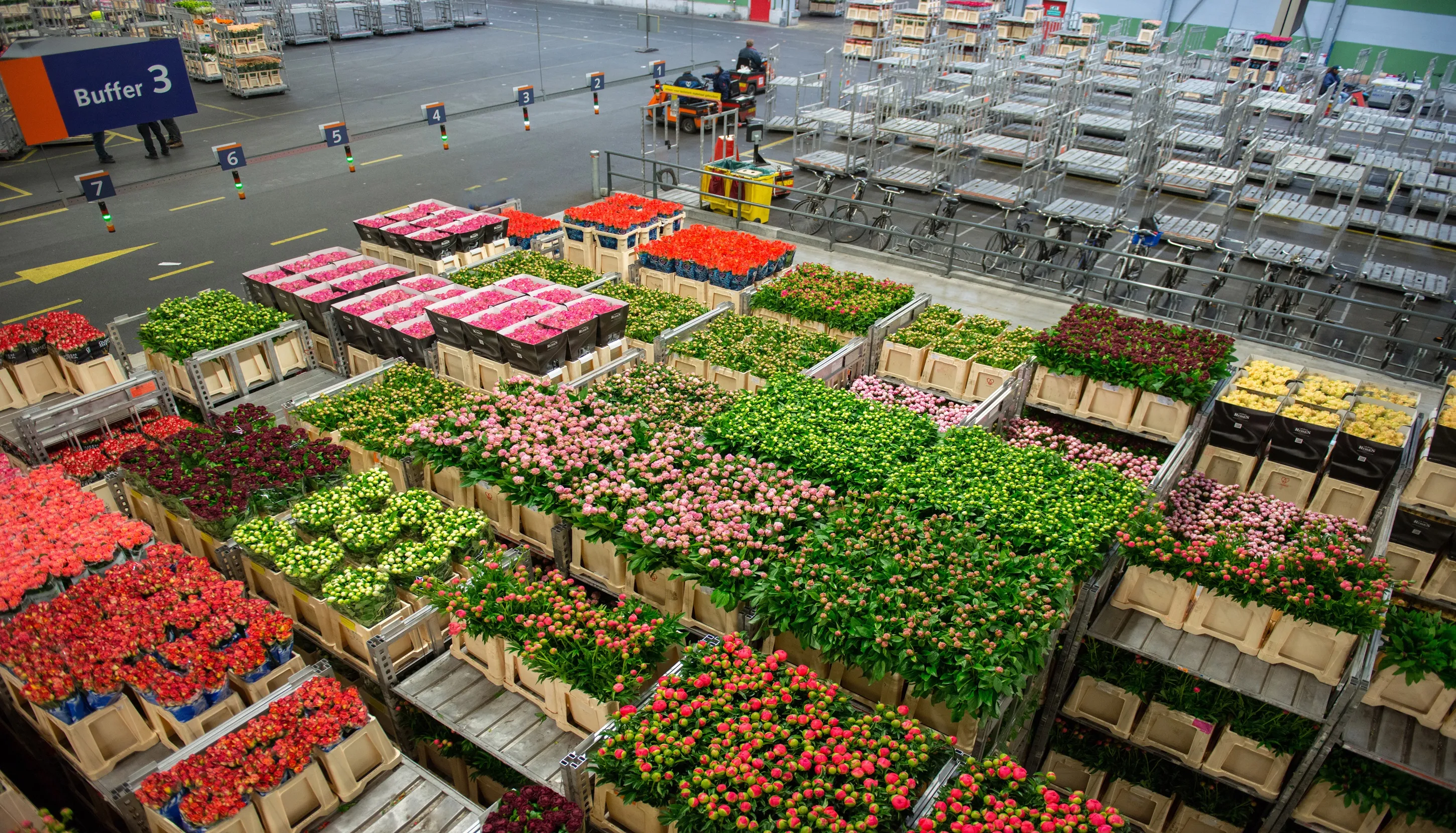 Colorful flowers in warehouse