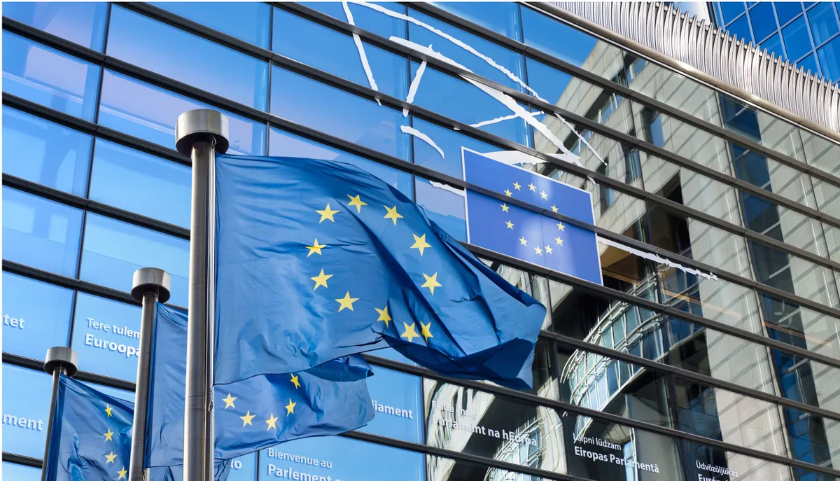 EU flags