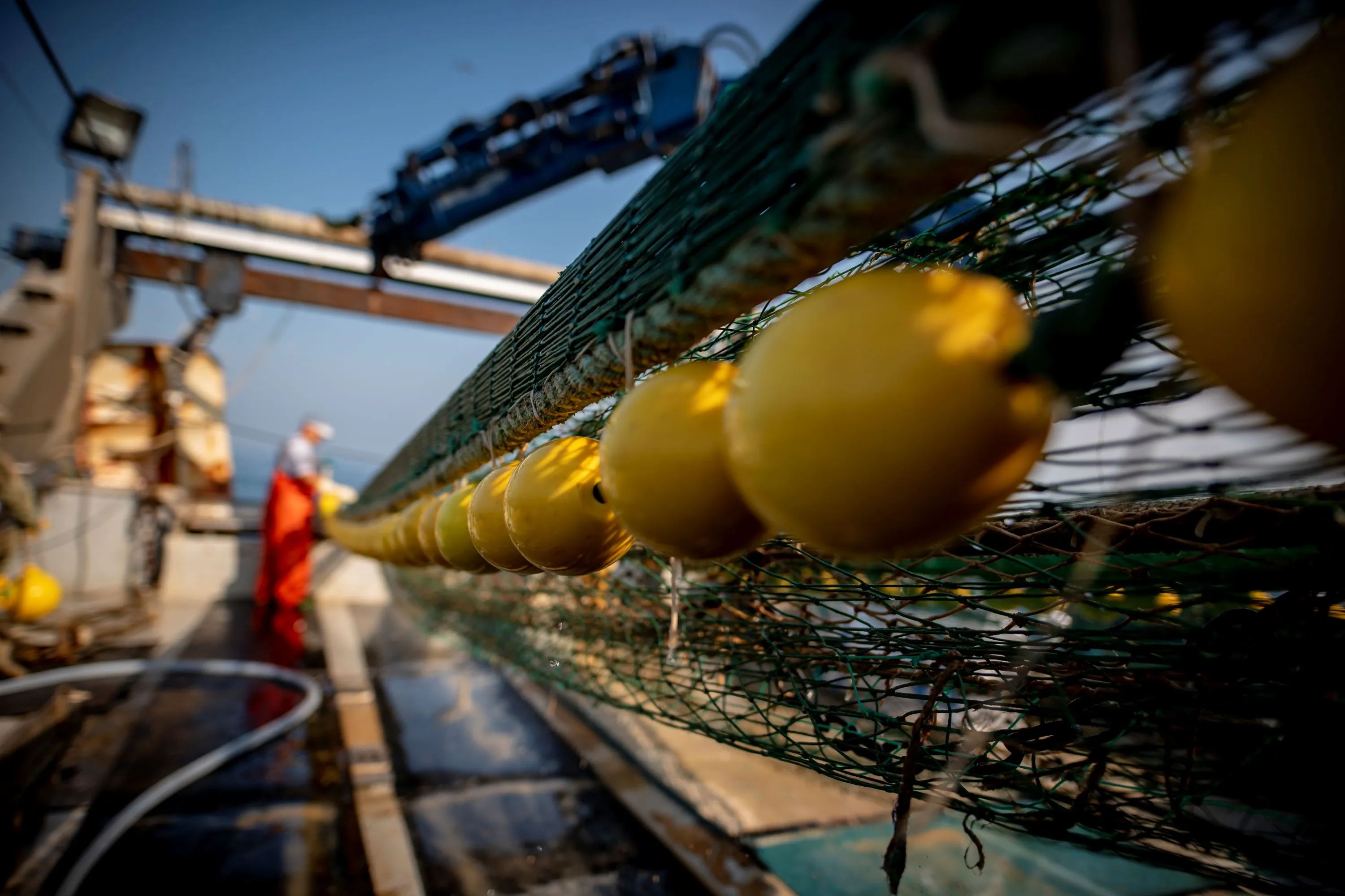 Close-up of a fishnet