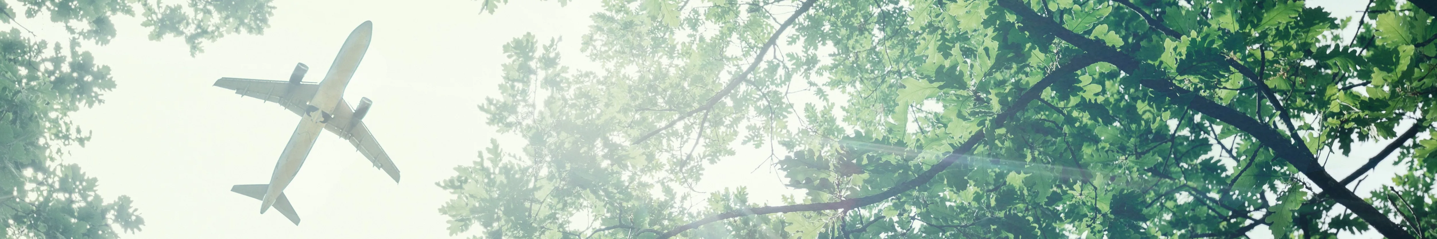 Eco-friendly air transport concept. The plane flies in the sky against the background of green trees.
