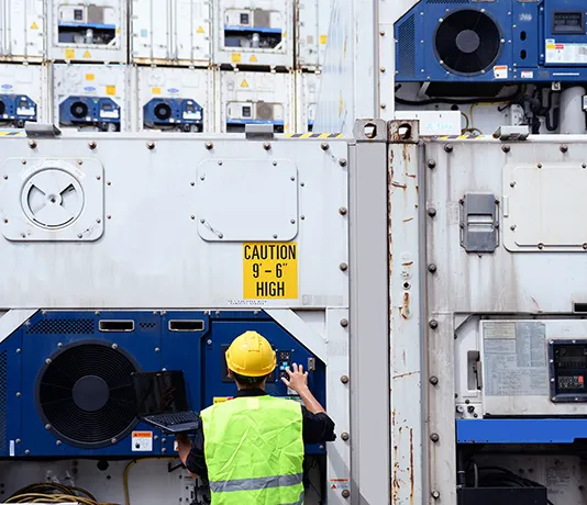 reefer container temperature controlled