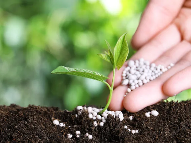 Applying agricultural chemicals to soil for crop growth