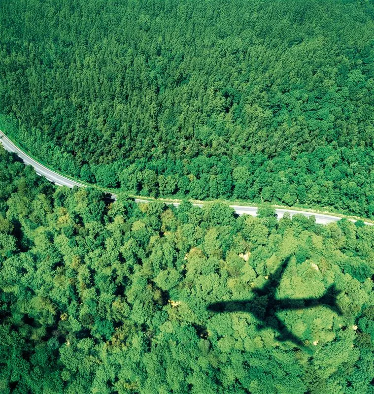 Plane above the trees with road