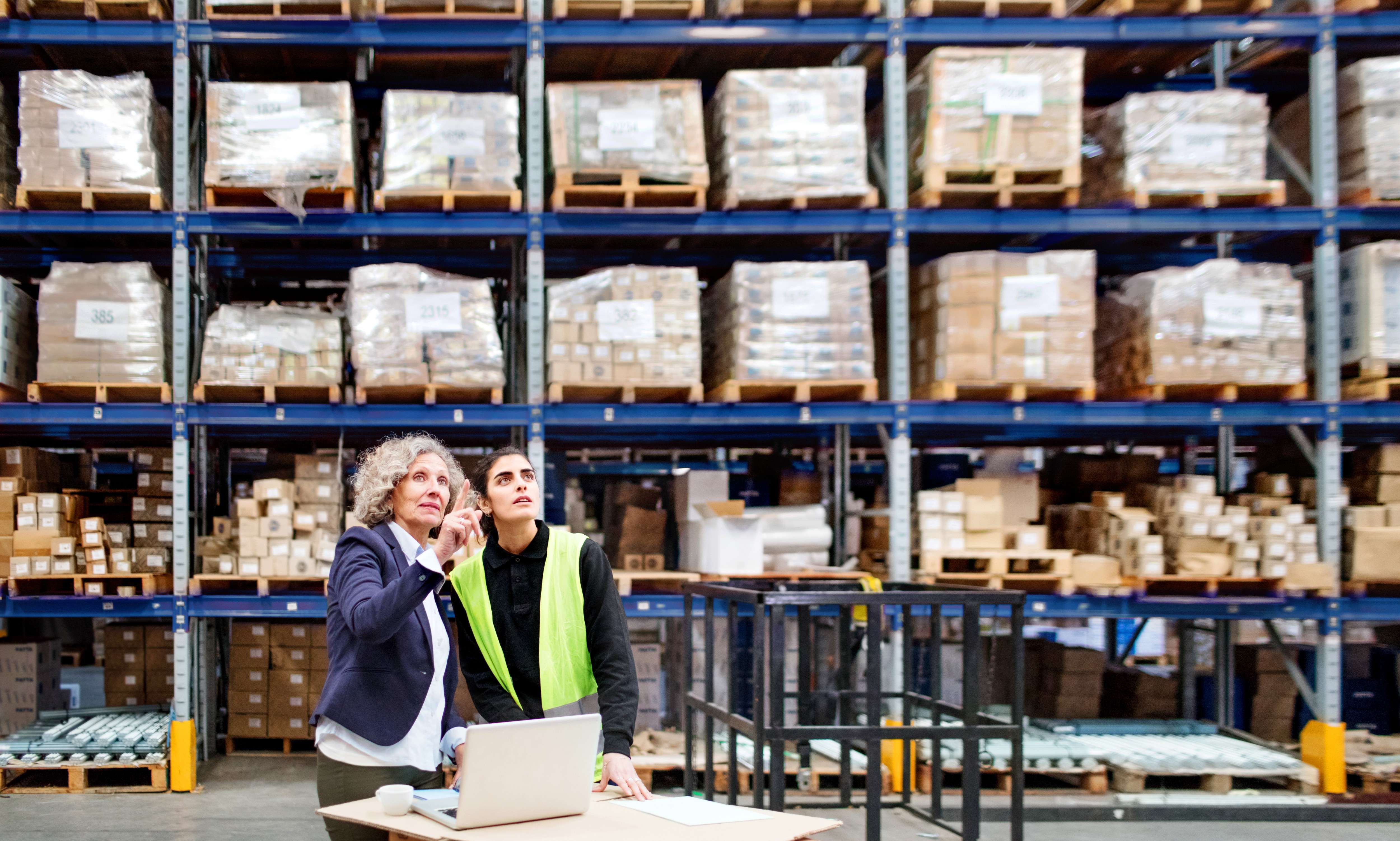 Gerente sênior trabalhando com funcionário no armazém