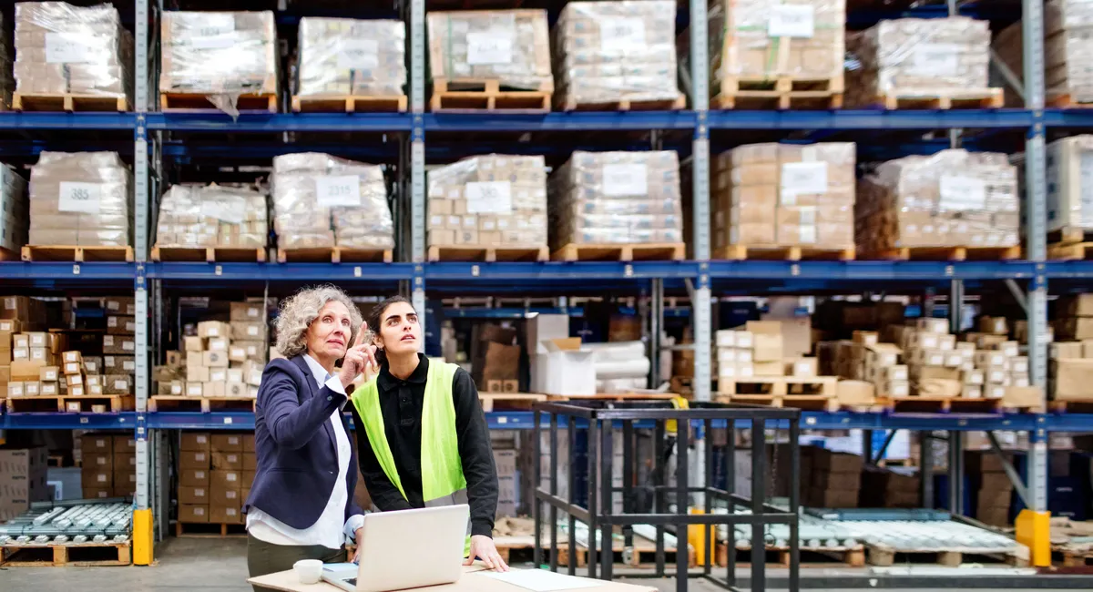Senior manager working with worker in warehouse