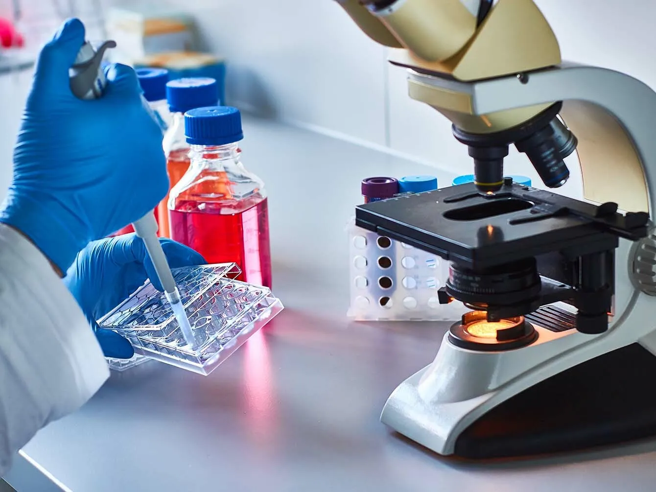 Someone looking at samples under microscope