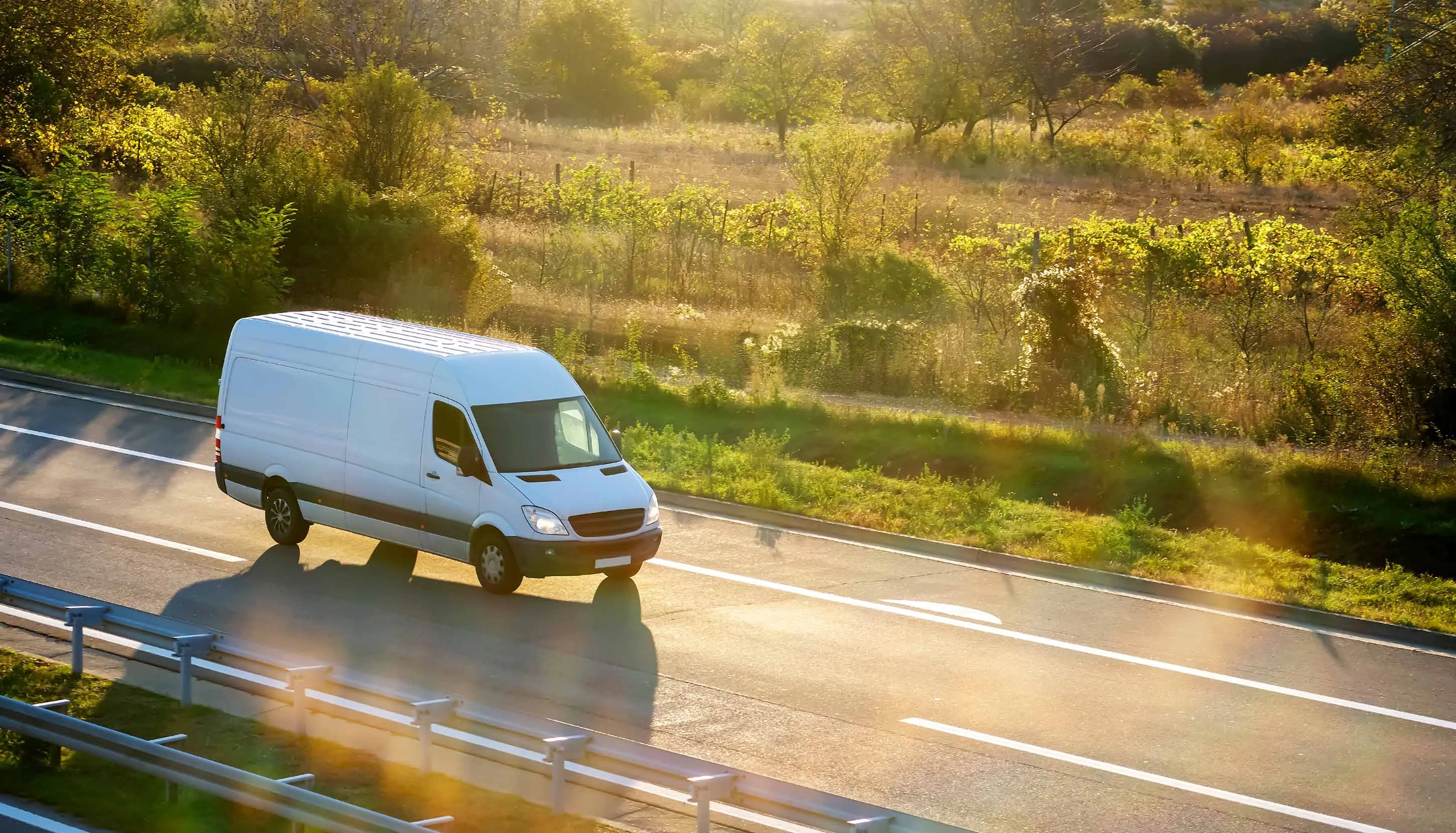 White van on road