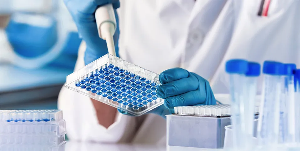 Scientist taking samples from a dish